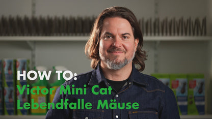 Mausefalle | Victor Mini Cat Mäuselebendfalle