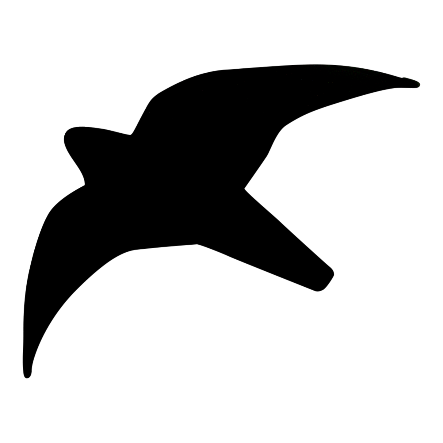 Greifvogel-Silhouette gegen Insekten.