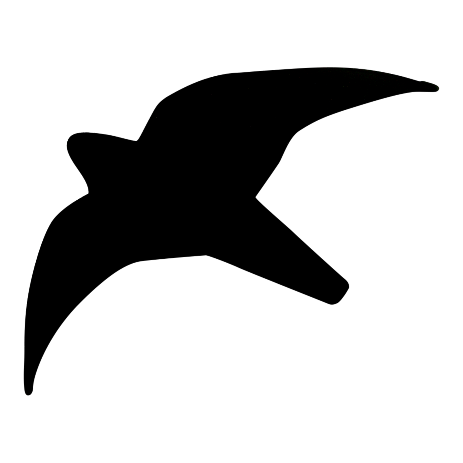 Greifvogel-Silhouette gegen Insekten.