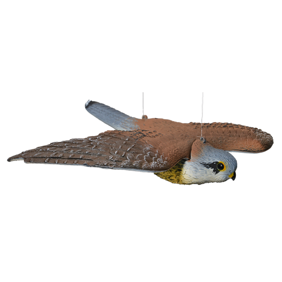 Taubenabwehr | Kunststoff-Falke fliegend