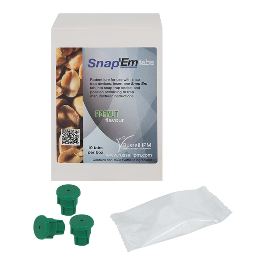 Lockstoff-Tabletten für Schlagfallen.